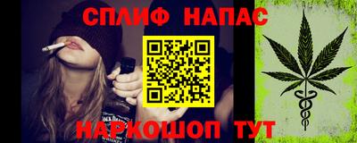 ECSTASY Обь